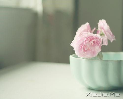 ����������֮�꣬�һ����Կ�����