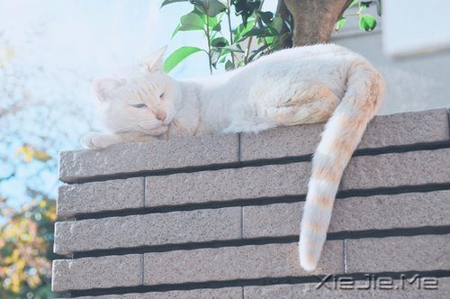 ������¼��һ���˵���ĵ��� (8)