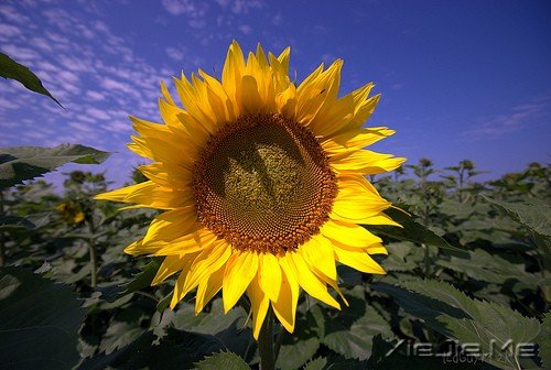 һ�������ˣ�����ȥԶ�� (7)