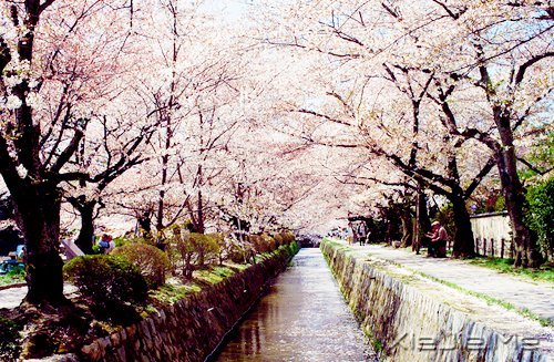 2014����12�������ı��Լ� (3)