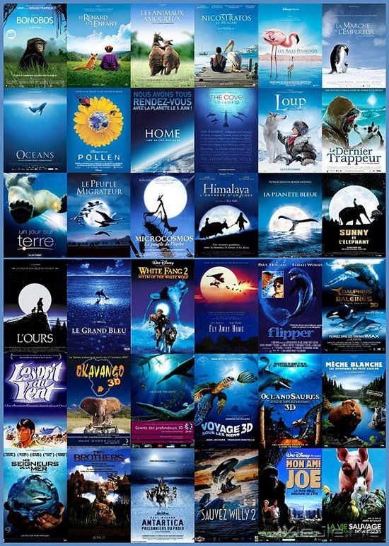 ��Ӱ�����������· (7)