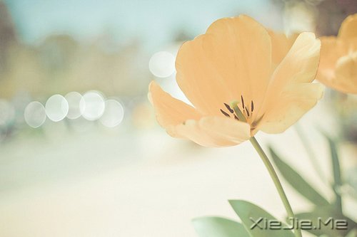 ���еĴ�δ�ض��������Ը