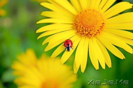 ������¼��������磬������������ (9)