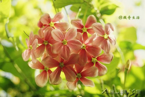 �����������˵�7�ŵ���