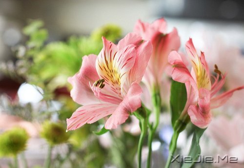 ������¼����ʲôҲ������������ (4)