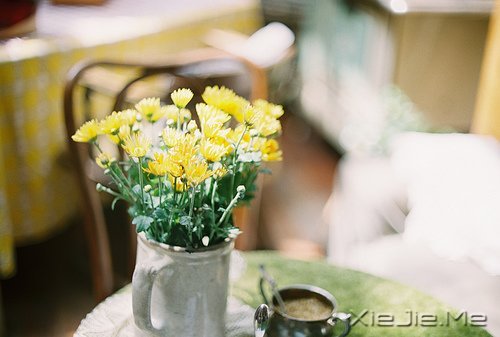 ���֣����ҵ�һ��ѧ��