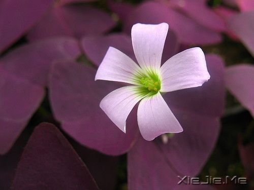 �����Ҹ���20��˲�� (4)