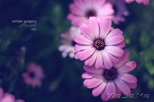 ֻҪ�Լ�Ŭ���ͺ� (4)