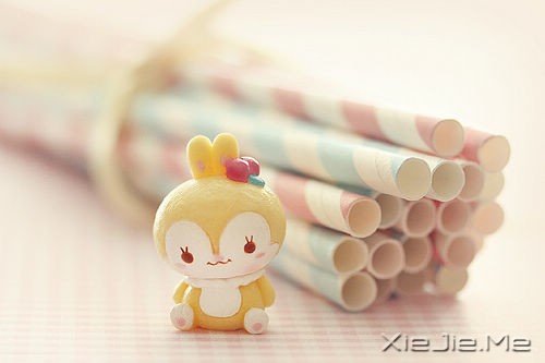 ȥ�����������°�