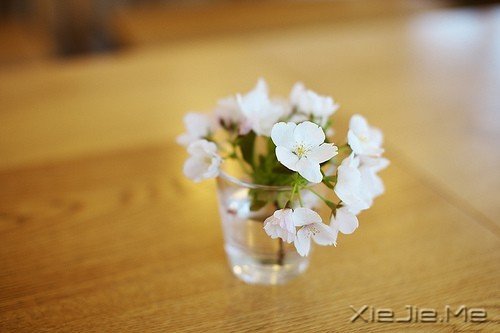 ������һ����ɫ